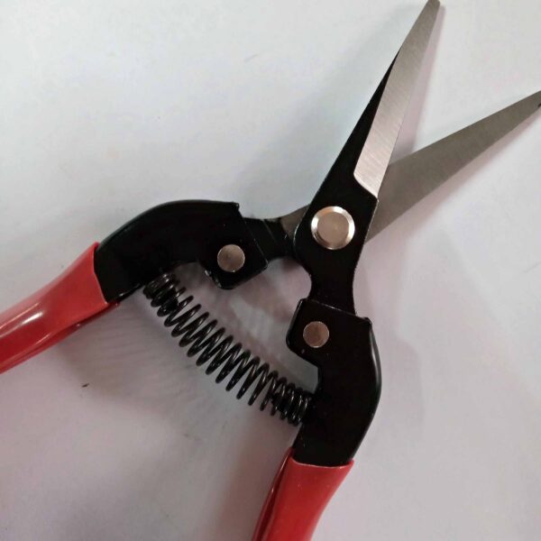JON Bhandari-Fruit Scissor, Pruning Shear, Garden Tool for Gathering  Fruit/Citrus/Grapes - Image 2